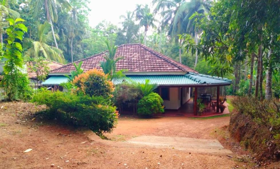 Hiriketiya Green Hill Home Dikwella Exteriör bild